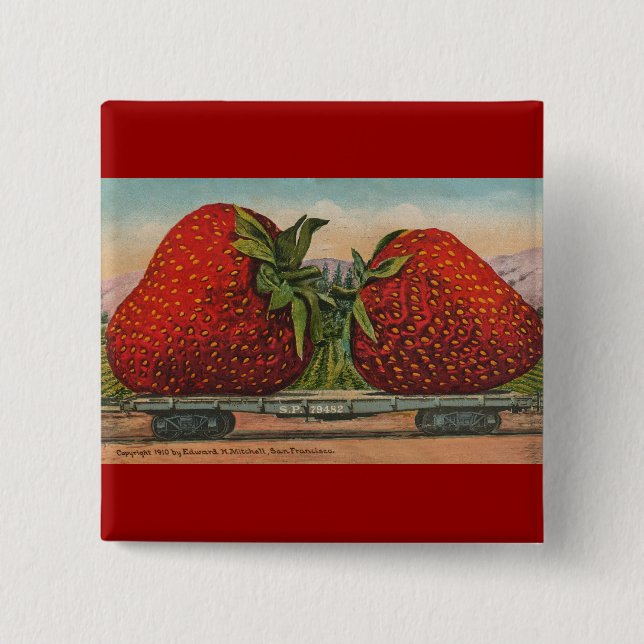 Erdbeeren Riesenalter Fruchtspass Button (Vorderseite)