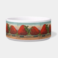 Erdbeeren Riesenalter Fruchtspass