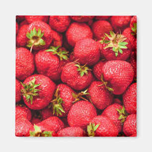 Erdbeeren Rote delbeere Magnet