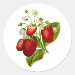 Erdbeeren Rundkleber Siegel Erdbeeren Runder Aufkleber