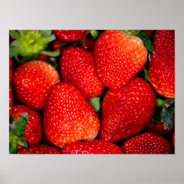 Erdbeeren schließen Plakat (Vorne)