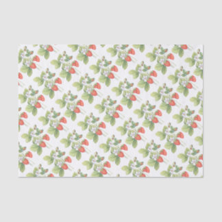 Erdbeeren Seidenpapier