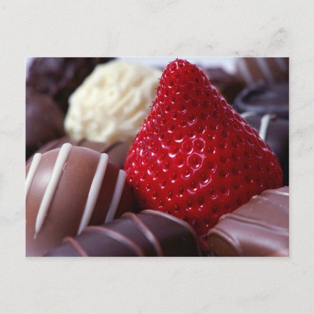 Erdbeeren und Schokolade Postkarte (Vorderseite)