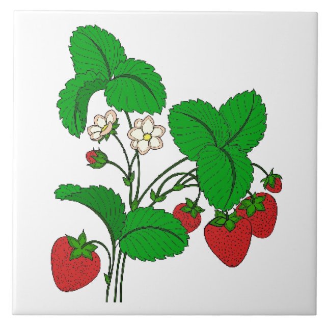 Erdbeeren zum Frühstück Fliese (Vorderseite)