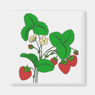 Erdbeeren zum Frühstück Magnet