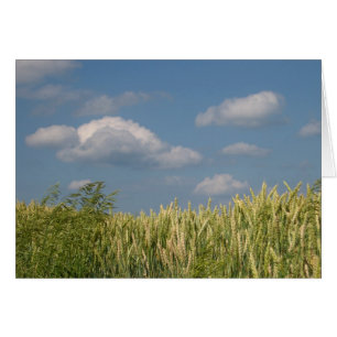 Erde und Himmel