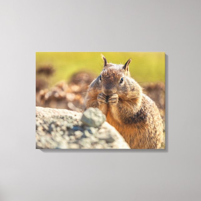 Erdeichhörnchen Leinwanddruck (Vorderseite)