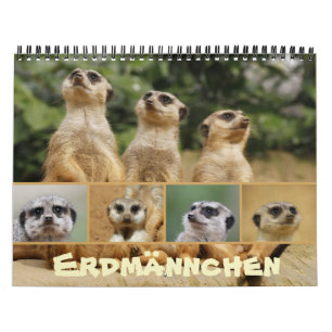 Erdmännchen 002 kalender