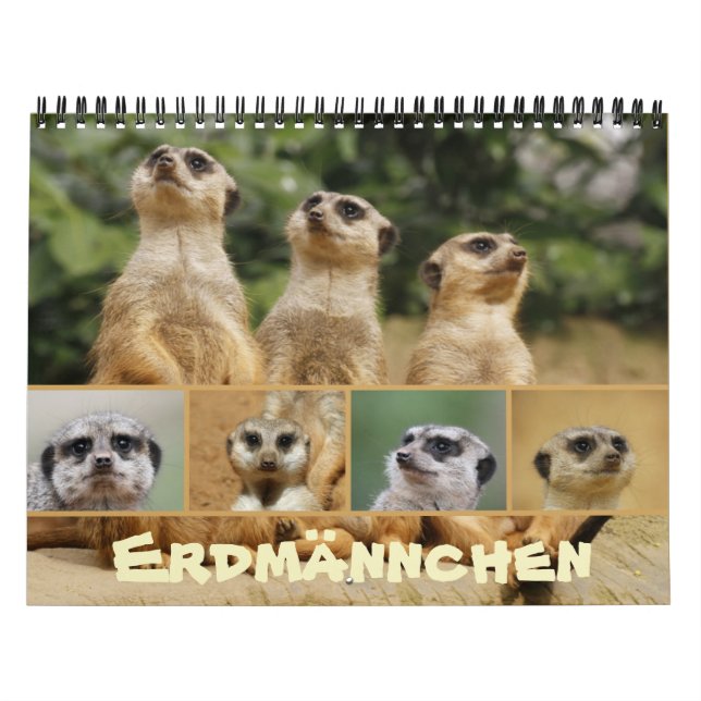 Erdmännchen 002 kalender (Titelbild)