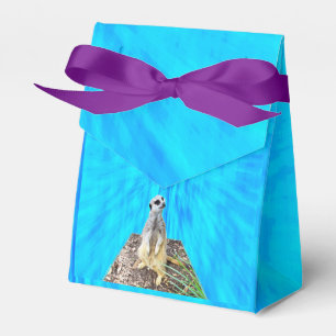 Erdmännchen auf blauem Schwamm, Geschenkschachtel