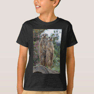 Erdmännchen Dreamteam T-Shirt