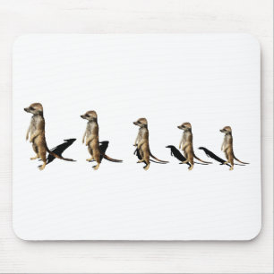 Erdmännchen in Reihe Mousepad