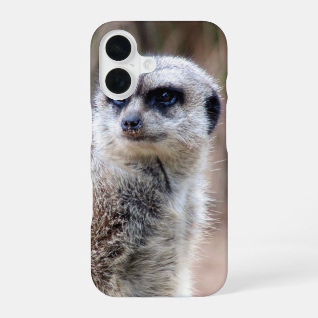 Erdmännchen iPhone 16 Hülle (Rückseite)