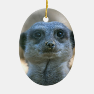 Erdmännchen Keramikornament