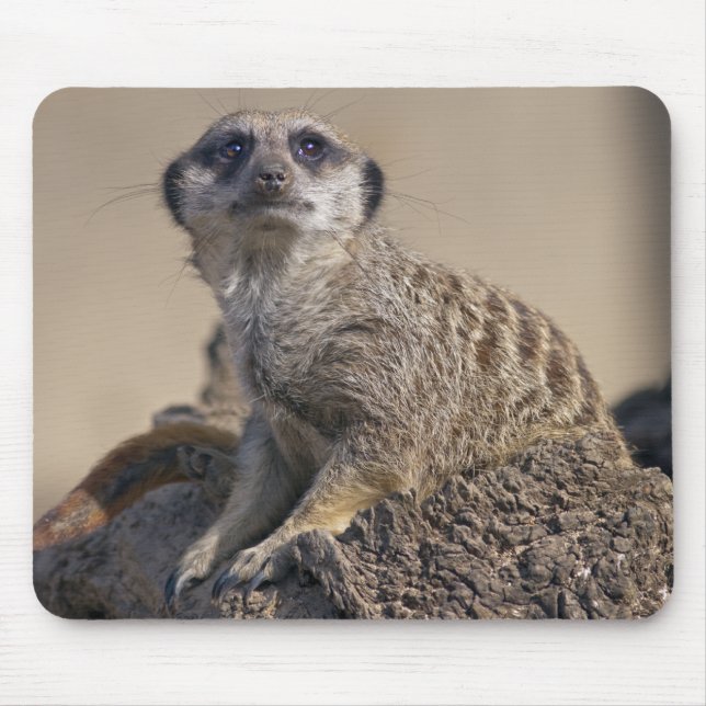 Erdmännchen-Mauspad Mousepad (Vorne)