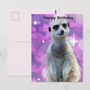 Erdmännchen mit Glanz, Geburtstagspostkarte Postkarte