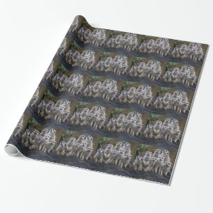 Erdmännchen Tier Safari Afrika Niedlich Suricate Geschenkpapier