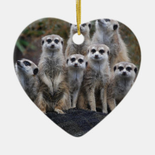 Erdmännchen Tier Safari Afrika Süße Suricata Keramikornament