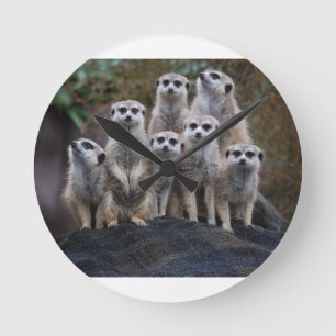 Erdmännchen Tier Safari Afrika Süße Suricate Runde Wanduhr