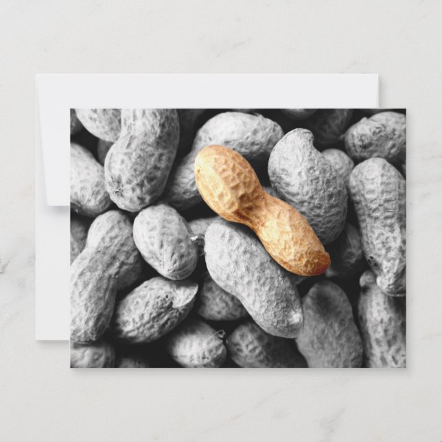 Erdnuss (Vorderseite)