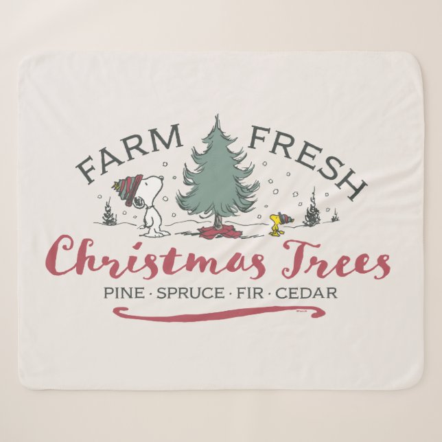 Erdnüsse | Bauernhof Frische Weihnachtsbaumen Sherpadecke (Vorderseite (Horizontal))