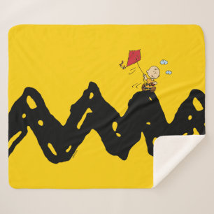 Erdnüsse   Charlie Brown Flying Kite Sherpadecke