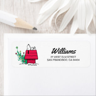 Erdnüsse Feierlich sein