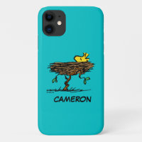 Erdnüsse | Holzabsperrung