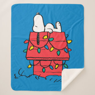 Erdnüsse Hundehütte Snoopy mit Licht Sherpadecke