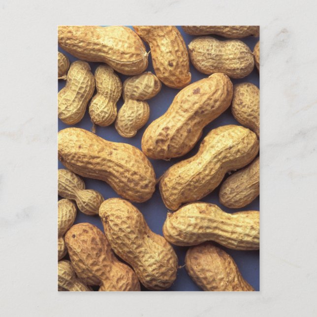 Erdnüsse Postkarte (Vorderseite)