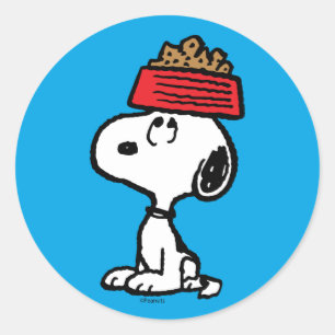 Erdnüsse Snoopy Balancing Sein Dog Disc Runder Aufkleber