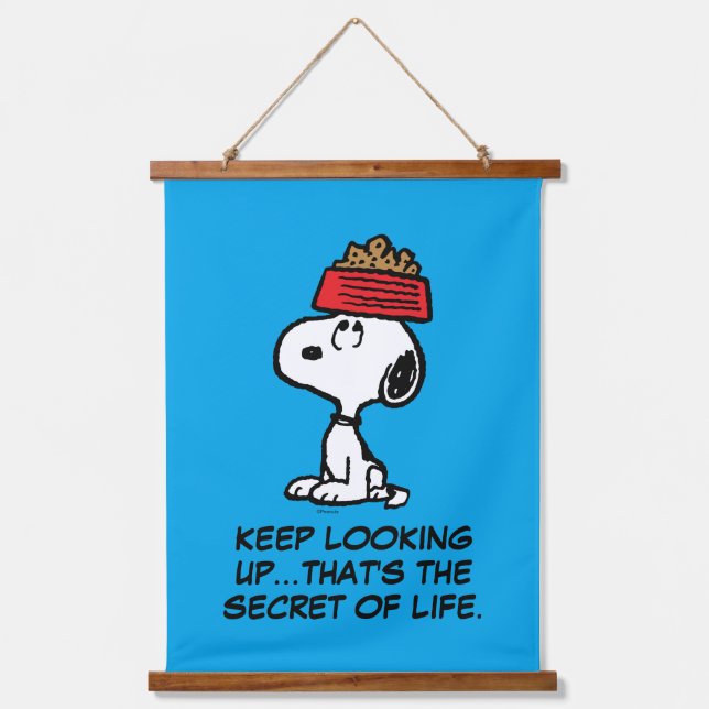 Erdnüsse | Snoopy Balancing Sein Dog Disc Wandteppich Mit Holzrahmen (Vorderseite)