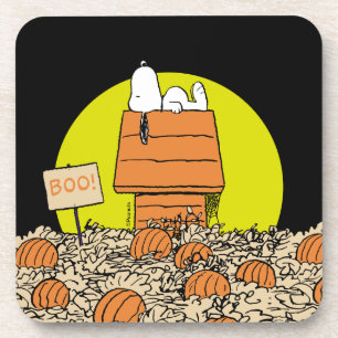 Erdnüsse   Snoopy Napping im Pumpkinpflaster Getränkeuntersetzer
