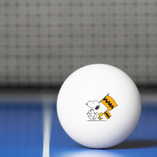Erdnüsse   Snoopy- und Holzflaggen Tischtennisball