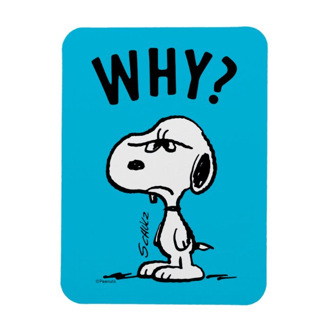 Erdnüsse | Snoopy Wonders Warum? Magnet (Vertikal)