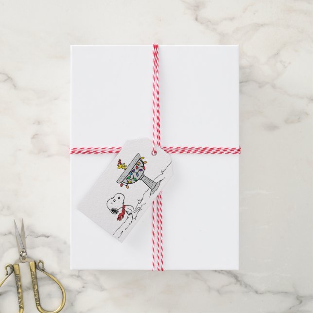 Erdnüsse | Snoopy & Woodstock Gefrorenes Birdbad Geschenkanhänger (Mit Garn)