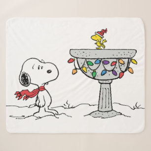 Erdnüsse   Snoopy & Woodstock Gefrorenes Birdbad Sherpadecke