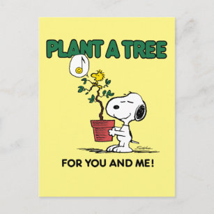 Erdnüsse   Snoopy & Woodstock Pflanze A Baum Postkarte