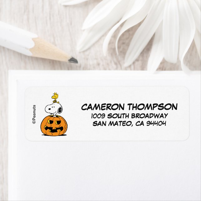 Erdnüsse | Snoopy & Woodstock Pop-up Pumpkin (Insitu)