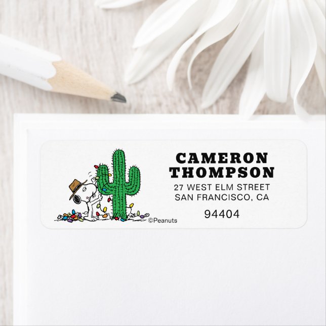 Erdnüsse | Spike Decorations für Weihnachten (Insitu)