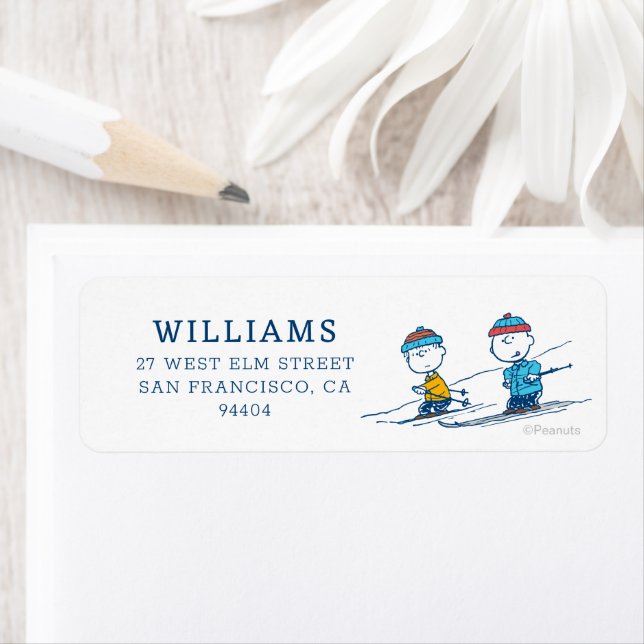 Erdnüsse | Winterskifahren der Pisten Muster (Insitu)