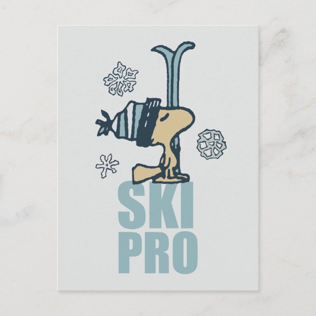 Erdnüsse | Woodstock Ski Pro Postkarte (Vorderseite)