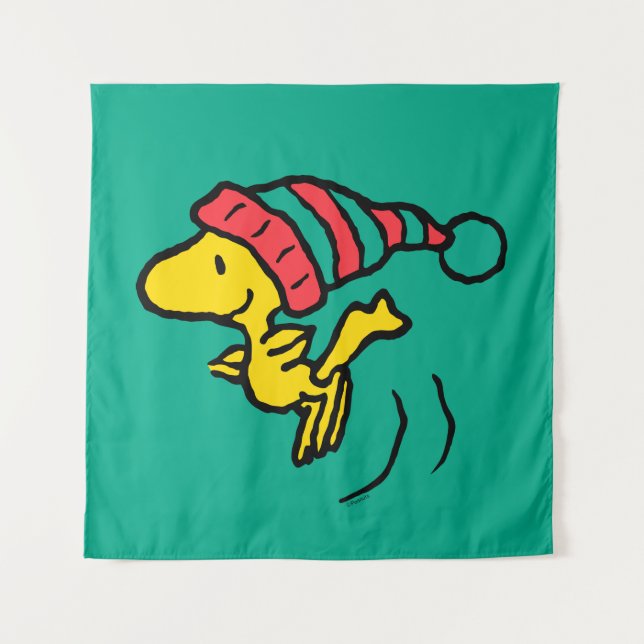 Erdnüsse | Woodstock Winter Beanie Cap Wandteppich (Vorderseite)