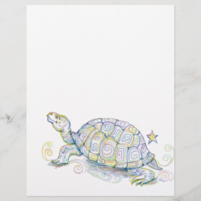 Erdschildkröte (Vorderseite)