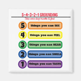 Erdungstechnik für Angst/Stress 5 Sinne Magnet