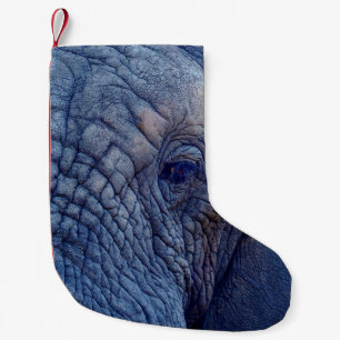 ERFAHREN SIE MIT DEN ELEFANTEN, WIE ES UM HUGGI GE KLEINER WEIHNACHTSSTRUMPF