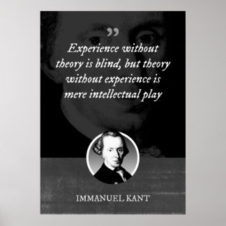 Erfahrung ohne Theorie ist blind Poster