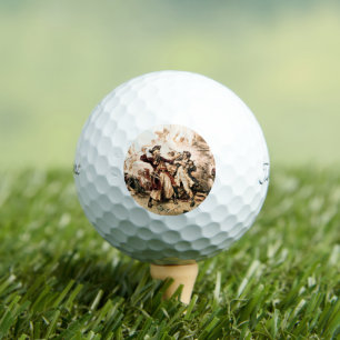 Erfasse den Piraten Blackbeard, Queen Anne's Reven Golfball