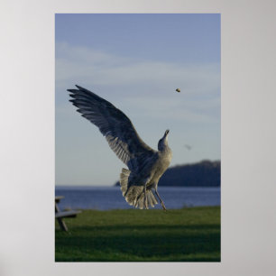 Erfolg innerhalb des Prinzips "Fine Art Print" Poster