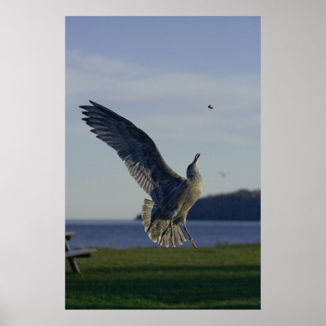 Erfolg innerhalb des Prinzips "Fine Art Print" Poster (Vorne)
